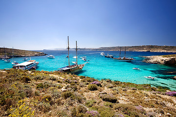 Image showing Blue Lagoon