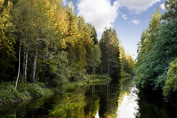 Image showing Fall Colors