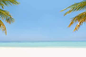 Image showing Landscape, ocean and beach with tropical palm tree in summer, mockup space or blue sky background by island. Nature, leaves and water in sea for sustainability, holiday and sunshine in environment