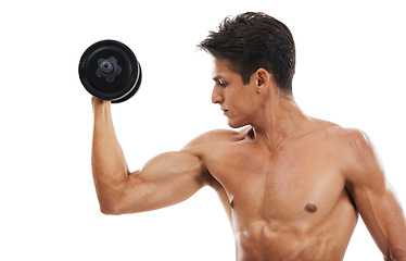 Image showing Man, dumbbell and workout in studio for fitness, wellness and healthy body with exercise or training. Person, athlete or physical activity for muscles, bicep and shirtless on white background for abs