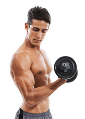 Image showing Man, dumbbell and exercise in studio for fitness, wellness and healthy body with workout or training. Person, athlete or physical activity for muscles, bicep and shirtless on white background for abs