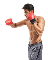 Image showing Man is shirtless, boxing and athlete with fitness and muscle in studio, sport and workout for health on white background. Exercise, training and fighter with gloves, body and abs with testosterone