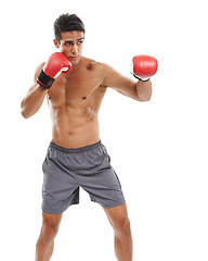 Image showing Boxer, man and shirtless in studio with sports for fitness, health and martial arts isolated on white background. Strong athlete with muscle, abs and boxing gloves, MMA training and exercise