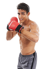 Image showing Boxer, man and shirtless in portrait with sports for fitness, health and martial arts on white background. Strong athlete with muscle, abs and boxing gloves, MMA training and exercise in studio