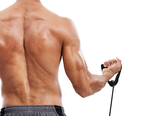 Image showing Man, back and weightlifting with bicep for workout or training on a white studio background. Rear view of person or bodybuilder curling arm for strength, muscle or exercise in fitness on mockup space