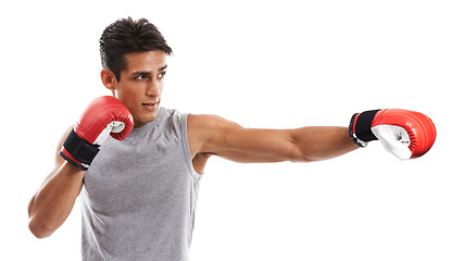 Image showing Boxer, man and punch in studio with sports for fitness, health and martial arts isolated on white background. Strong athlete with muscle, action and boxing gloves for MMA training and exercise