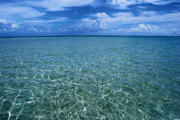 Image showing Crystalline clear waters in Maragogi,  Brazil