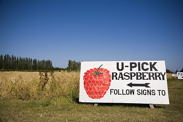 Image showing U Pick Rasberry Sign