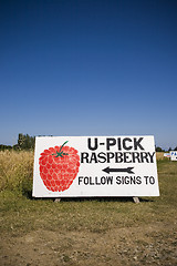 Image showing U Pick Rasberry Sign