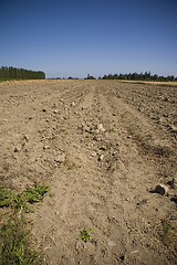 Image showing Ploughed Field