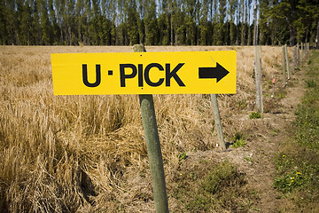 Image showing U Pick Sign