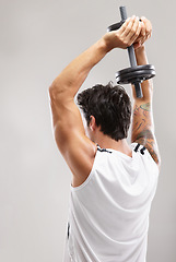 Image showing Fitness, overhead or man in dumbbell workout or training for wellness in studio on grey background. Strong athlete, skullcrusher or back of bodybuilding exercise for power, body challenge or weights