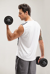 Image showing Fitness, back or man in dumbbell workout or training for wellness in studio on grey background. Strong male athlete, curl or bodybuilding exercise for power, body challenge or weights for performance