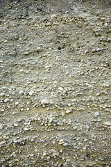 Image showing Sand Background Texture