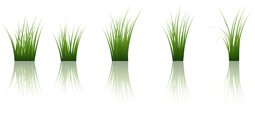 Image showing grass on water