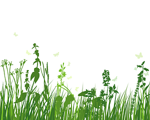 Image showing Green Grass Meadow