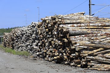 Image showing Wood Piles at Railway Station