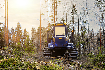 Image showing Ponsse Forest Forwarder on Logging Site