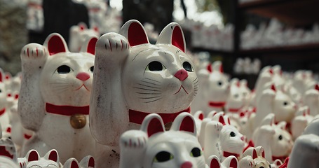 Image showing Lucky cat, religion and Shinto shrine in nature, trees and forest with wish, faith or culture environment. Animal, toys and temple for statue, worship or Buddhism with icon, symbol or wave in Japan