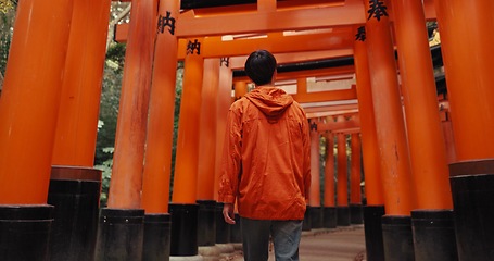 Image showing Man, religion and walk by shinto torii gate, back and culture for thinking, ideas and nature in forest. Person, statue and memory on spiritual journey, Fushimi Inari shrine or architecture in Kyoto