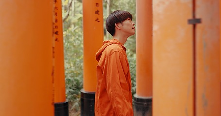 Image showing Japanese man, walk and torii gate for religion in shinto culture for thinking, ideas and nature in forest. Person, statue and memory on spiritual journey, Fushimi Inari shrine and faith in Kyoto