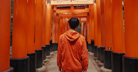 Image showing Man, outdoor and walk by shinto torii gate, back and culture for thinking, ideas and nature in forest. Person, statue and memory on spiritual journey, Fushimi Inari shrine and architecture in Kyoto