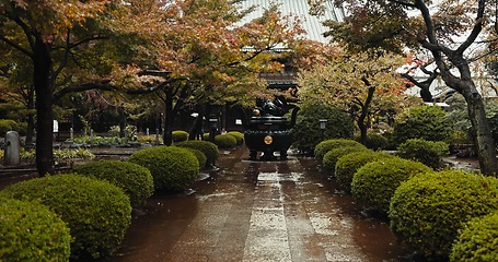 Image showing Japan graveyard, nature and trees by shrine in landscape environment, autumn leaves and plants. Rain, countryside and tomb for asian culture in urban kyoto and cemetery for indigenous shinto religion