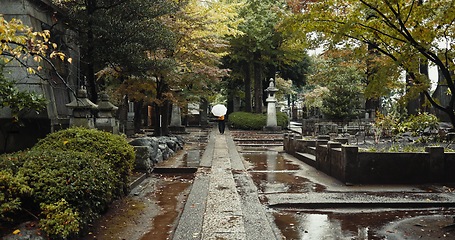 Image showing Japan cemetery, person and religion by tombstone in nature, rain and walking by autumn leaves with umbrella. Wet graveyard, monk or journey by stone in urban kyoto or spiritual path by shinto shrine