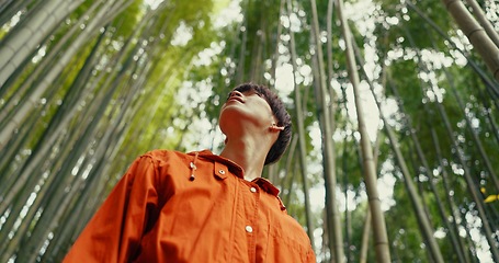 Image showing Japanese man, bamboo trees and forest on walk, adventure and hiking with thinking, ideas and journey. Person, outdoor or trekking for peace, mindfulness or woods at Fushimi Inari on vacation in Kyoto