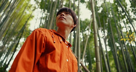 Image showing Japanese man, bamboo trees and nature on walk, adventure and hiking with thinking, ideas and journey. Person, outdoor or trekking for peace, mindfulness or woods at Fushimi Inari on vacation in Kyoto