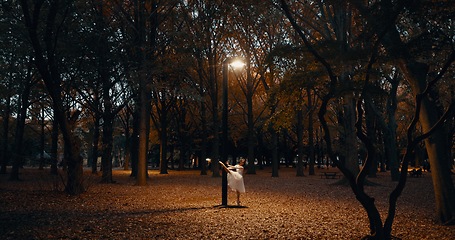 Image showing Woman, dance and night in outdoor dark at street light for performance, practice or creative artist. Female person, ballerina and dress on pointe in Japanese garden for talent, entertainment or skill