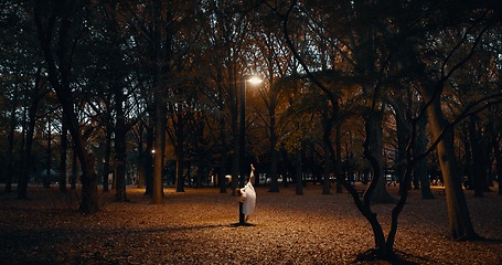 Image showing Ballerina, dancing and night in outdoor dark at street light for performance, practice or creative artist. Female person, leg and dress on pointe in Japanese garden for talent, entertainment or skill