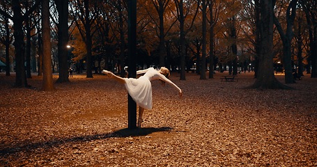 Image showing Ballerina, dancing and night for outdoor performance at street light or flexibility, practice or creative. Female person, leg and dress on pointe in Japanese garden for talent, entertainment or skill