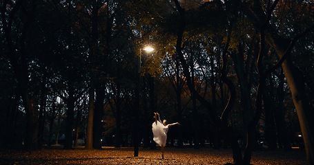 Image showing Ballet, dance and night or outdoor performance at park street lamp or outdoor, practice or creative artist. Female person, leg and dress on pointe in Japanese garden or talent, entertainment or skill