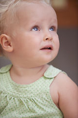 Image showing Baby, kid and girl play in home, adorable and cute child closeup alone in house. Young blonde toddler, innocent and childhood development for learning, education and thinking in kindergarten nursery