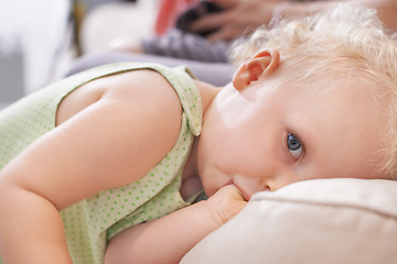 Image showing Portrait, baby and kid suck thumb in home, adorable or cute innocent child alone in house. Face of young blonde toddler, finger in mouth or facial expression of healthy girl in comfort in Switzerland