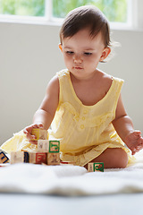 Image showing Baby, girl and kid, blocks as toys for learning, playing at home for education and alphabet. Growth, early childhood development and toddler with educational activity, playtime and montessori