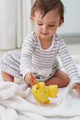 Image showing Baby, playing and toys in living room floor, duck and sensory growth in family home. Curious, girl and play for child development, games and childhood memories or fun to learn, cognition or kids