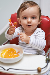 Image showing Baby, high chair and food in bowl for meal, nutrition or healthy porridge with spoon at home. Portrait of young cute little child, kid or toddler playing with snack for hunger, vitamins or nutrients