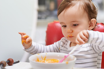 Image showing Baby, high chair and playing with bowl for meal, nutrition or healthy porridge with spoon at home. Young adorable cute little child, kid or toddler eating food for hungry snack, vitamins or nutrients