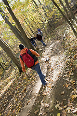 Image showing Hiking