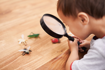 Image showing Child, study and learning about insect with magnifying glass, investigation and science education. Kid, research and observe bugs in inspection check on table for biology, knowledge and development