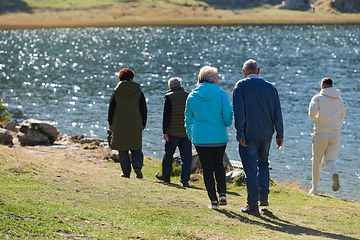 Image showing Elderly couple strolling through the breathtaking beauty of nature, maintaining their vitality and serenity, embracing the joys of a health-conscious and harmonious lifestyle