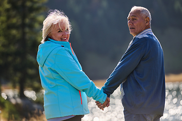 Image showing Elderly couple strolling through the breathtaking beauty of nature, maintaining their vitality and serenity, embracing the joys of a health-conscious and harmonious lifestyle