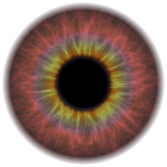 Image showing Eye Iris