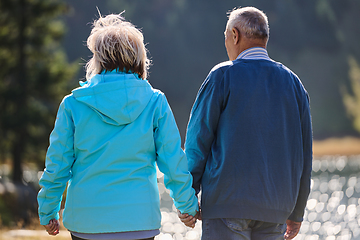 Image showing Elderly couple strolling through the breathtaking beauty of nature, maintaining their vitality and serenity, embracing the joys of a health-conscious and harmonious lifestyle