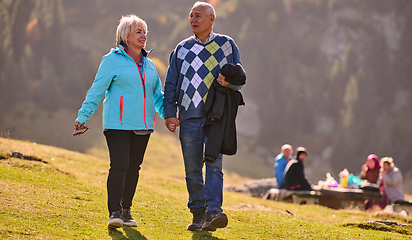 Image showing Elderly couple strolling through the breathtaking beauty of nature, maintaining their vitality and serenity, embracing the joys of a health-conscious and harmonious lifestyle