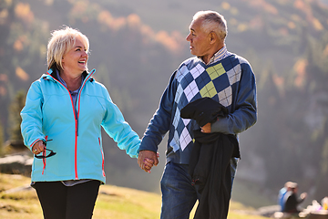Image showing Elderly couple strolling through the breathtaking beauty of nature, maintaining their vitality and serenity, embracing the joys of a health-conscious and harmonious lifestyle