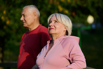 Image showing Elderly couple strolling through the breathtaking beauty of nature, maintaining their vitality and serenity, embracing the joys of a health-conscious and harmonious lifestyle