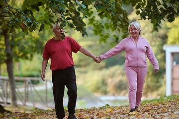 Image showing Elderly couple strolling through the breathtaking beauty of nature, maintaining their vitality and serenity, embracing the joys of a health-conscious and harmonious lifestyle